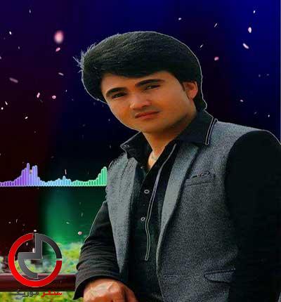 دانلود اهنگ افغانی دلی دارم دلی دیوانه دارم از عارف شاداب دانلود اهنگ افغانی دلی دارم دلی دیوانه دارم از عارف شاداب