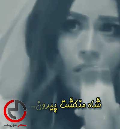 دانلود اهنگ لری عروسی عشقم صبا ای مجاله از صابر احسانی دانلود اهنگ لری عروسی عشقم صبا ای مجاله از صابر احسانی
