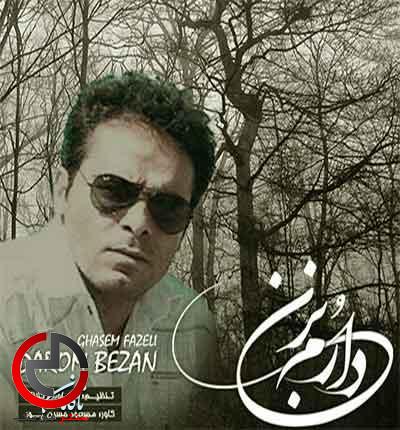 دانلود اهنگ جایی نداری به دلم دارم بزن از قاسم فاضلی دانلود اهنگ جایی نداری به دلم دارم بزن از قاسم فاضلی