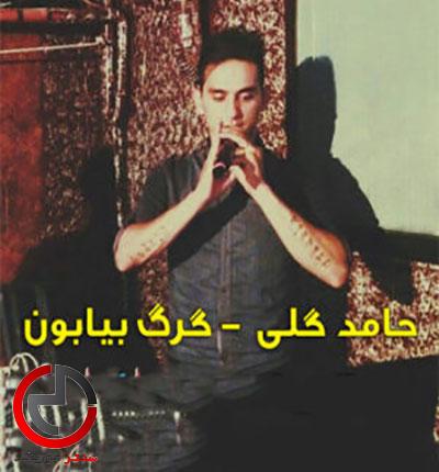 دانلود اهنگ هی خلاف سنگین گرگ بیابون از حامد گلی دانلود اهنگ هی خلاف سنگین گرگ بیابون از حامد گلی