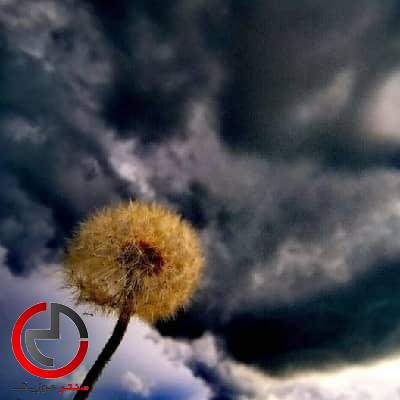 دانلود اهنگ نامرد یار از پوریا نادری دانلود اهنگ نامرد یار از پوریا نادری