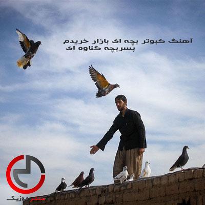 دانلود اهنگ کبوتر بچه ای بازار خریدم از پسربچه گناوه ای دانلود اهنگ کبوتر بچه ای بازار خریدم از پسربچه گناوه ای