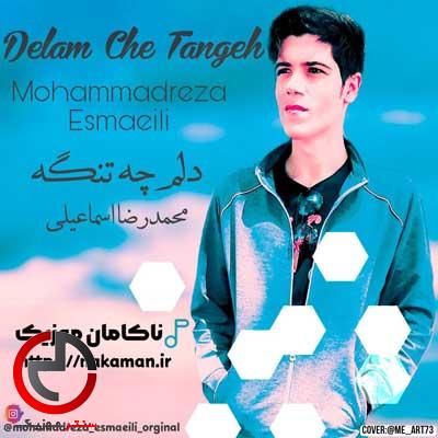 دانلود اهنگ دلم چه تنگه از محمدرضا اسماعیلی دانلود اهنگ دلم چه تنگه از محمدرضا اسماعیلی