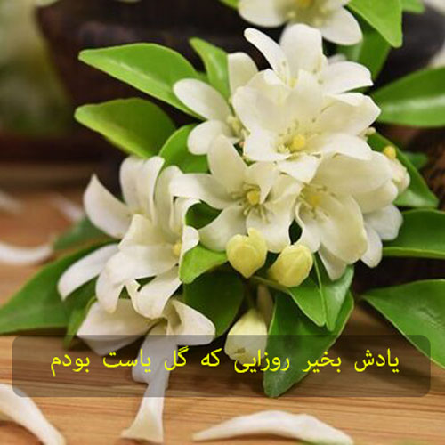 دانلود آهنگ یادش بخیر روزایی که گل یاست بودم (ورژن اصلی + صدای مرد با گیتار) دانلود آهنگ یادش بخیر روزایی که گل یاست بودم (ورژن اصلی + صدای مرد با گیتار)